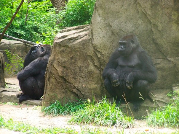 Cincinnati Zoo